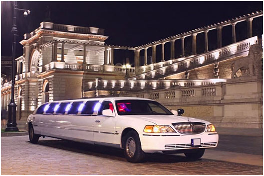 How to Choose the Best Boston Limo Service for a Special Day?